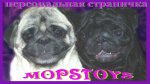 Персональная страничка MOPSTOYS